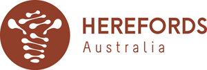 Hereford Australien